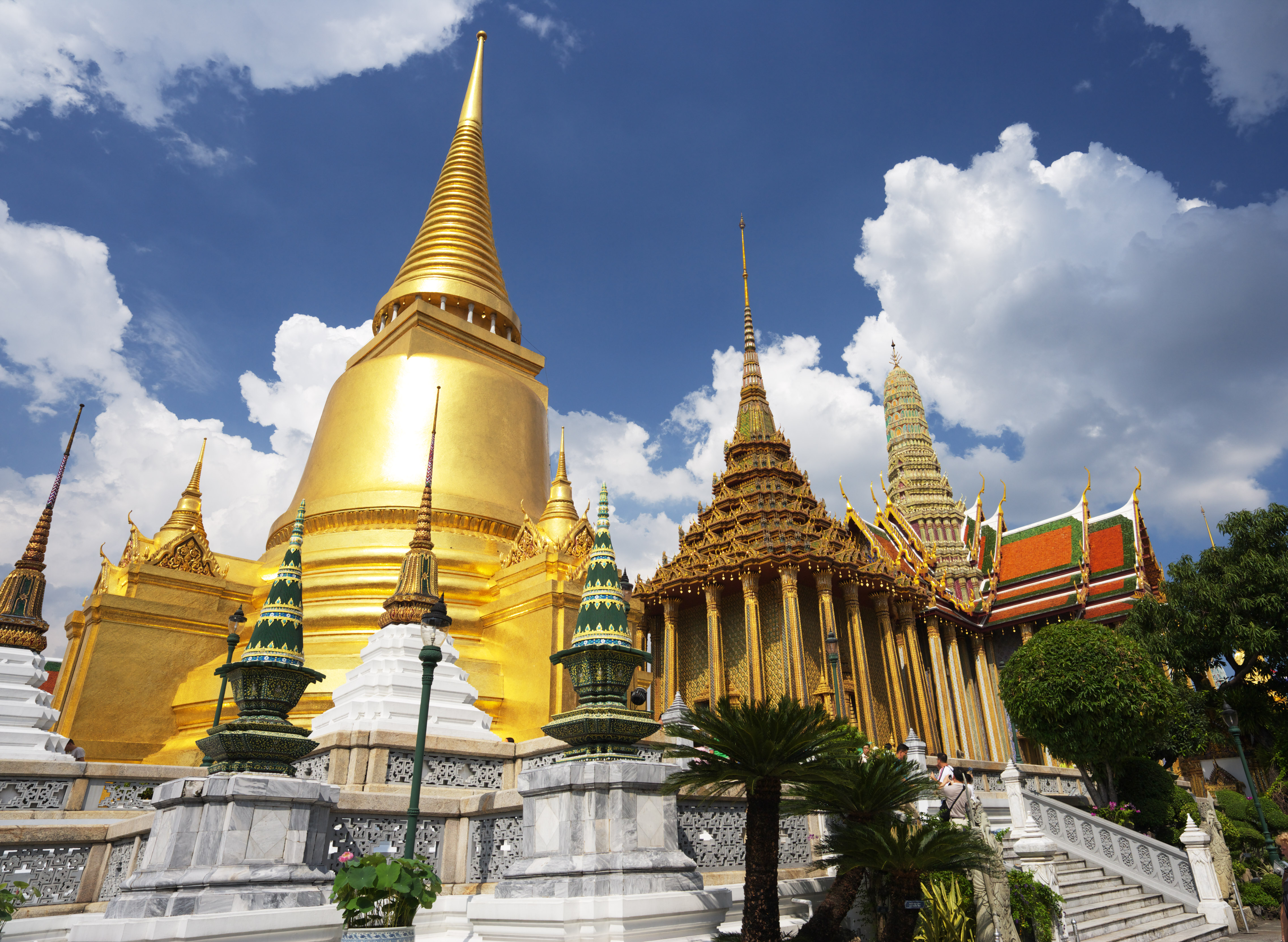 タイランドエリート ご入会のチャンス